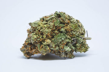 Which Strain is Best For You?