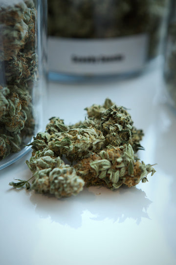 7 Biggest Marijuana Myths Debunked