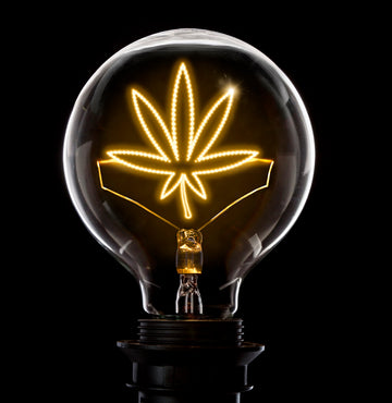 Cannabis and Creativity: How to use Cannabis to Stoke the Imagination
